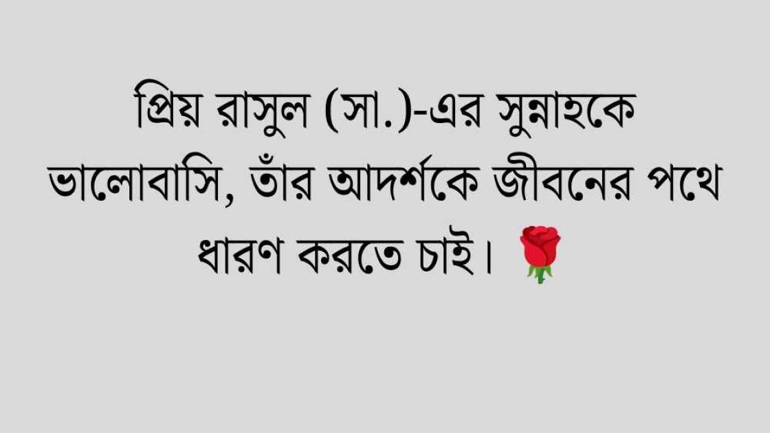 ঈদে মিলাদুন্নবী 