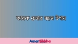 কারক চেনার সহজ উপায় সমূহ উদাহরণ সহ 2026