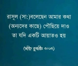 ৫০+ ইসলামিক স্ট্যাটাস পিক, ইসলামিক ক্যাপশন বাংলা ২০২৬
