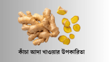 কাঁচা আদা খাওয়ার ৫টি উপকারিতা ২০২৬