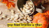 কুমড়া বীজের উপকারিতা এবং পুষ্টিগুণ 2026