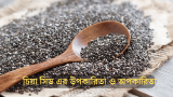 চিয়া সিড এর উপকারিতা ও অপকারিতা 2026