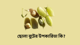 ছোলা বুটের উপকারিতা কি? জানুন! 2026