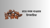 রাতে লবঙ্গ খাওয়ার উপকারিতা ও পুষ্টিগুণ 2026