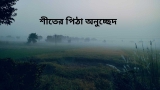 শীতের পিঠা অনুচ্ছেদ রচনা | পিঠা উৎসব নিয়ে অনুচ্ছেদ