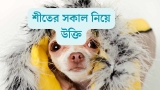 শীতের সকাল নিয়ে উক্তি, ক্যাপশন ও স্ট্যাটাস ২০২৬